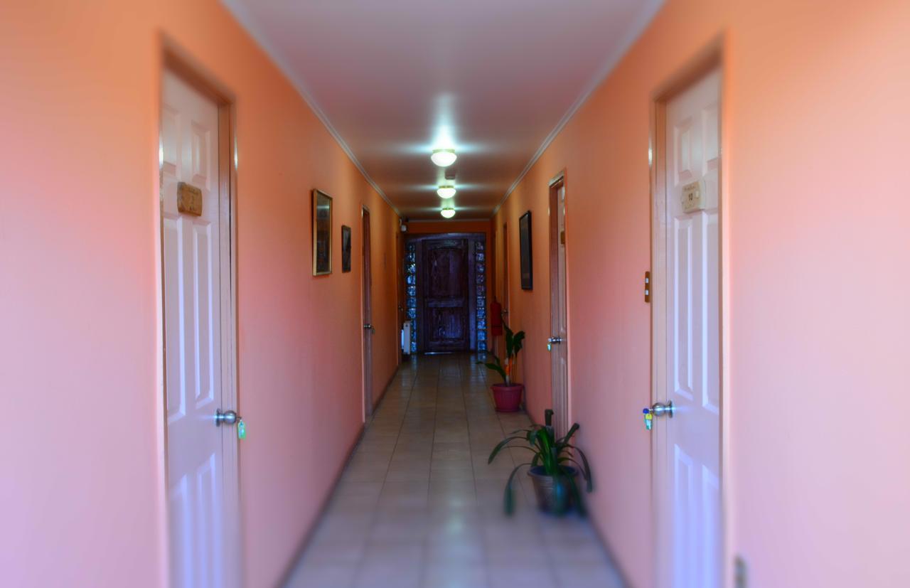פואנטה ארנס Hostal Aventura Austral מראה חיצוני תמונה